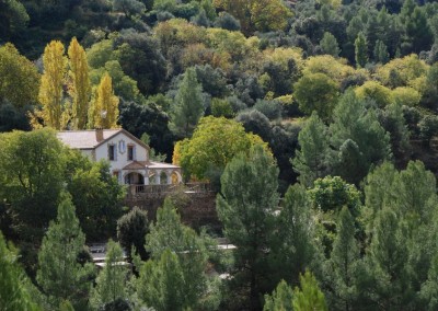 Casas rurales en Yeste Albacete con piscina Los Olivos  35