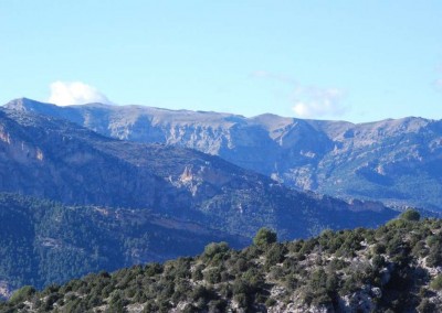 Reserva Natural Sierra de las Cabras Nerpio Albacete03